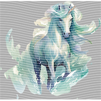 Rainbow Horse-RH 282